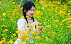 爱城地址发布器